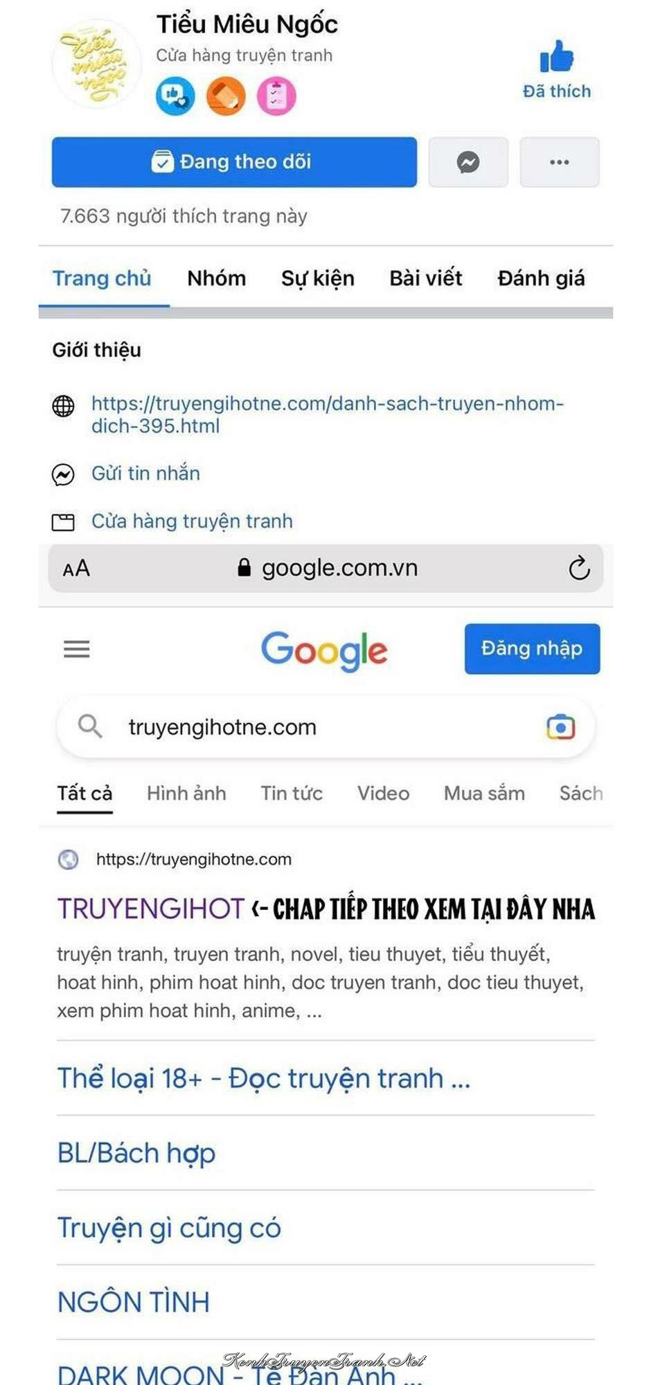 Truyện VI