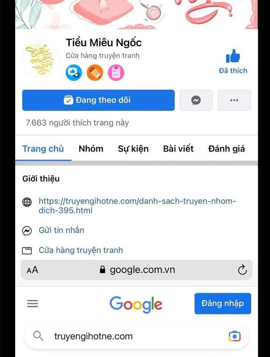 Truyện VI