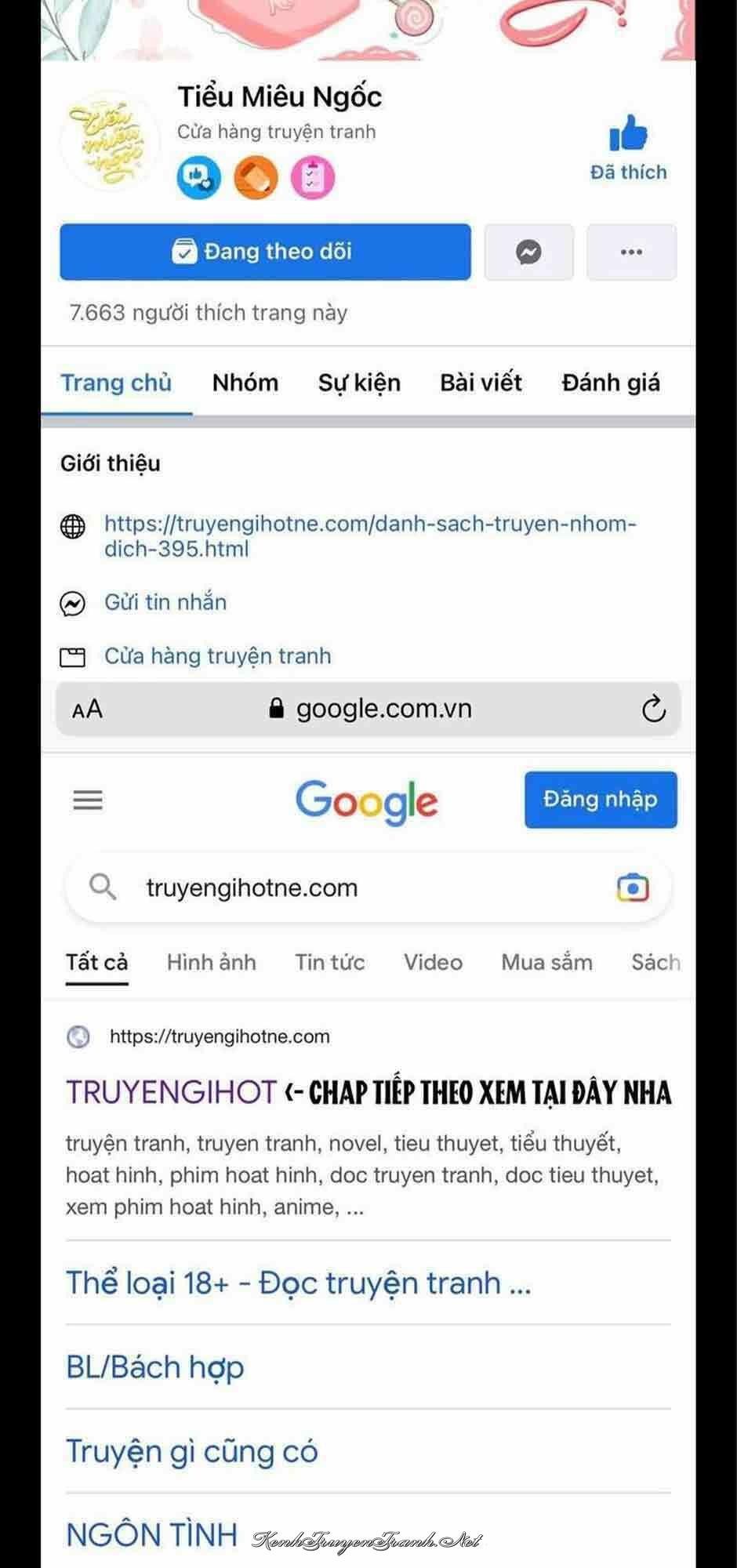 Truyện VI