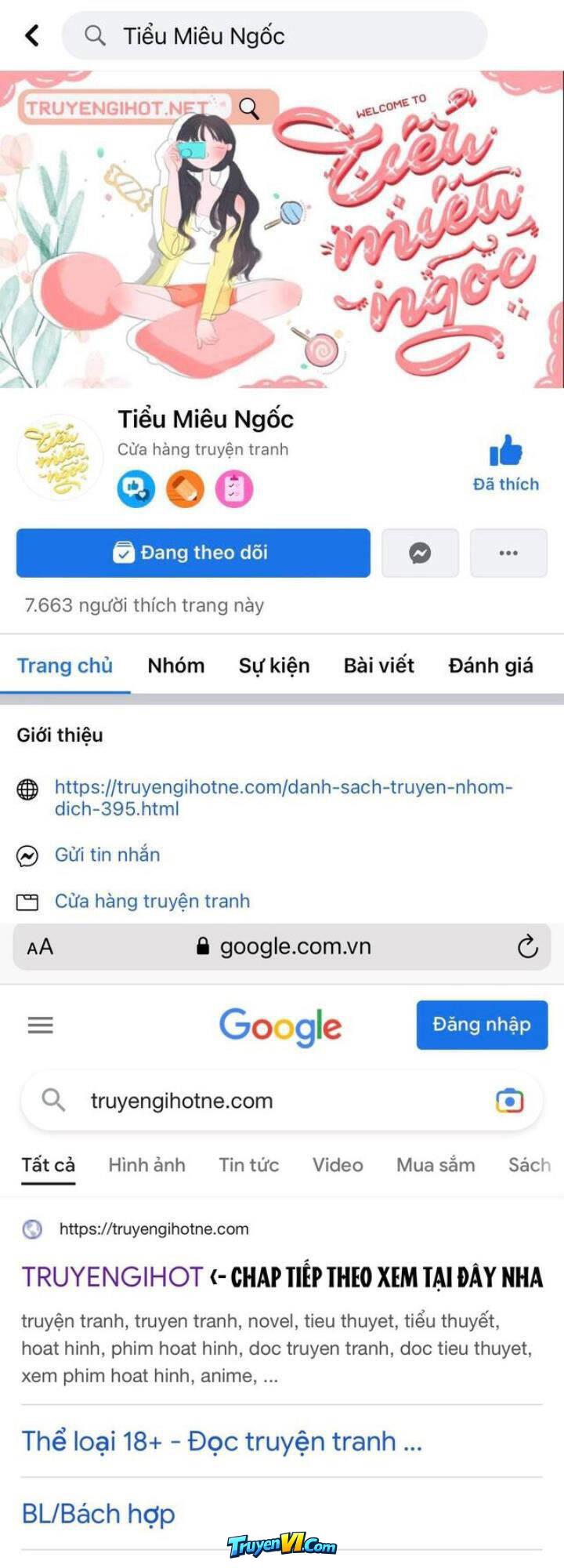 Truyện VI