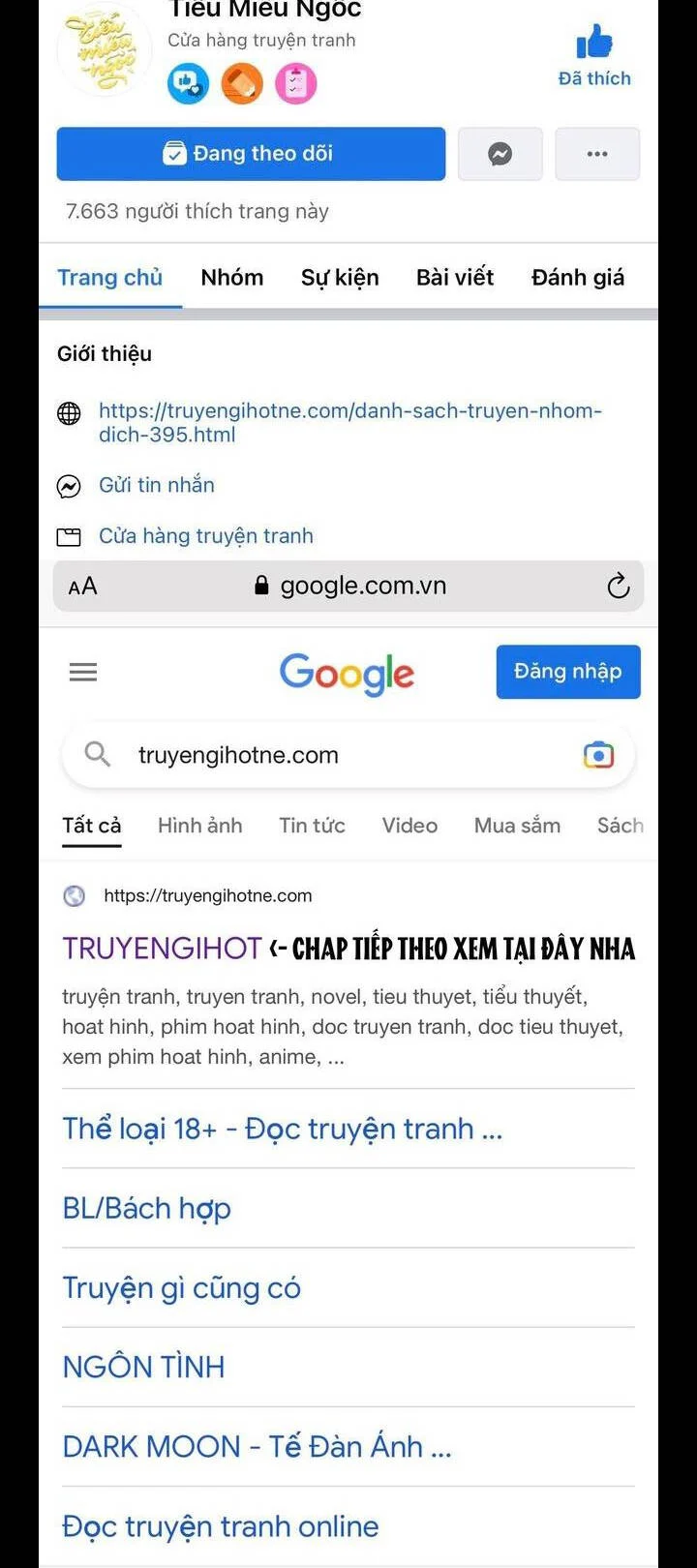 Truyện VI