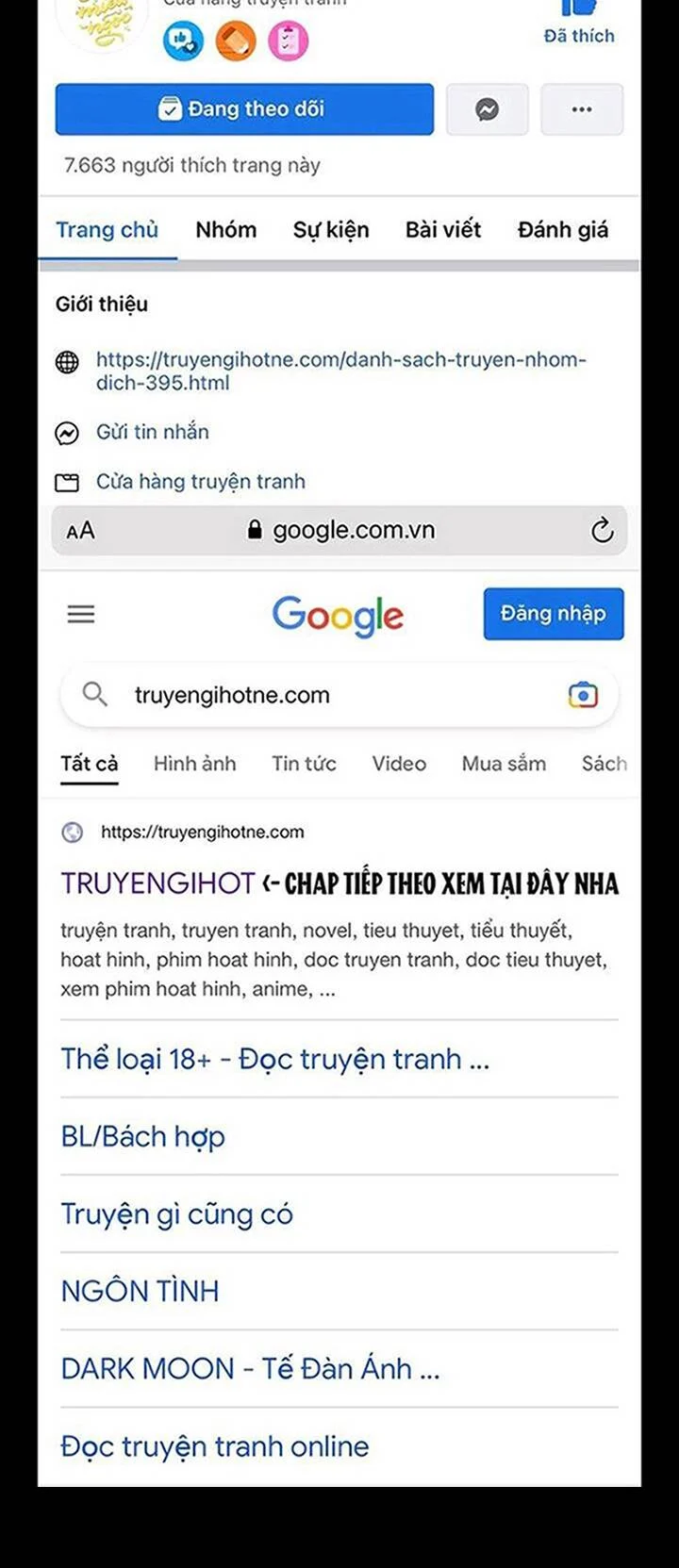 Truyện VI