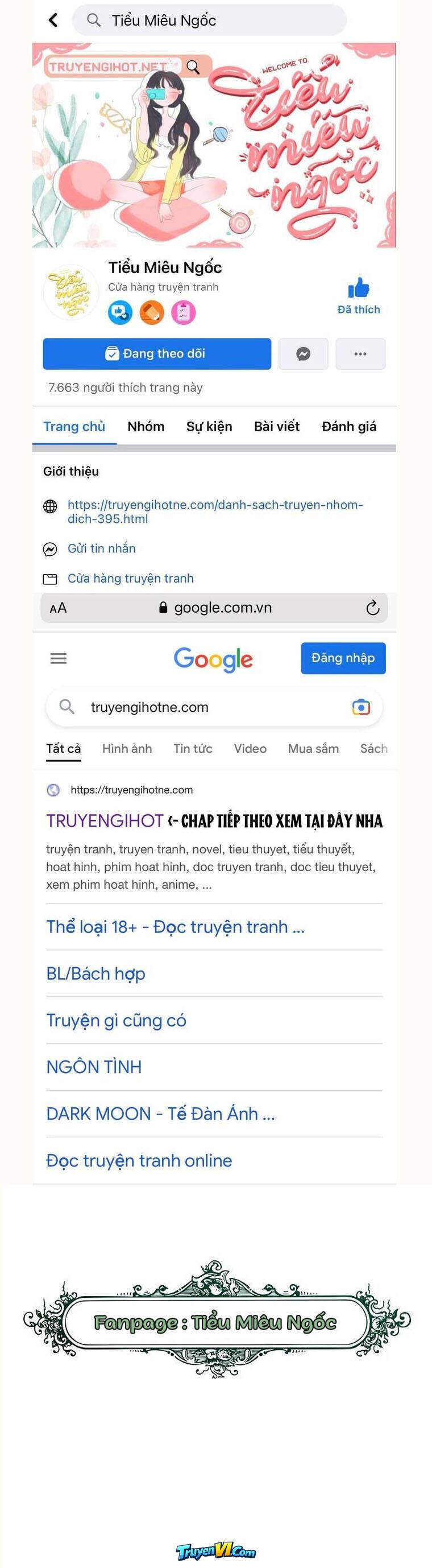 Truyện VI