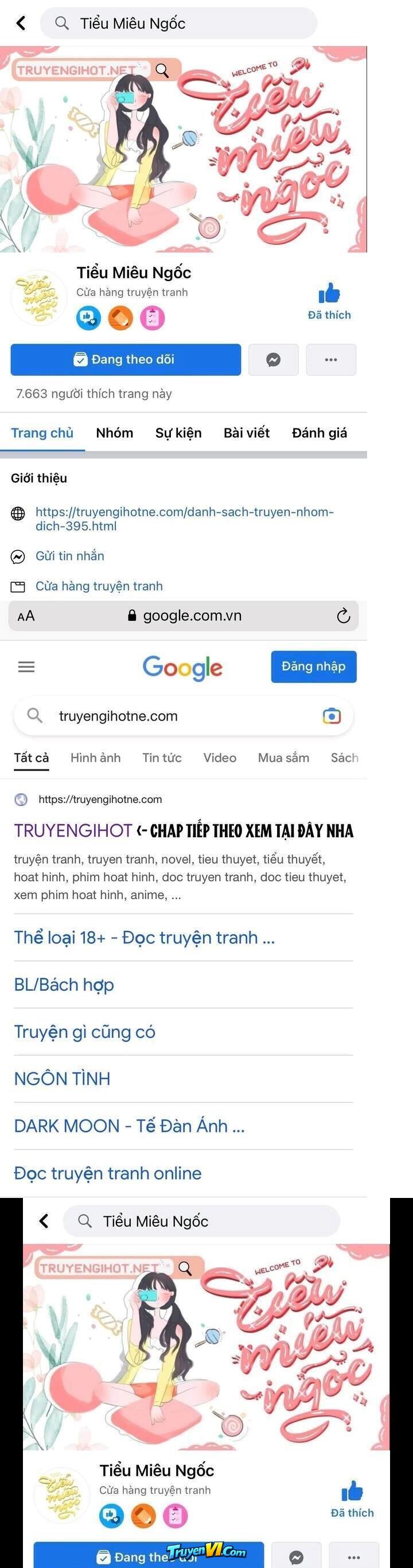 Truyện VI