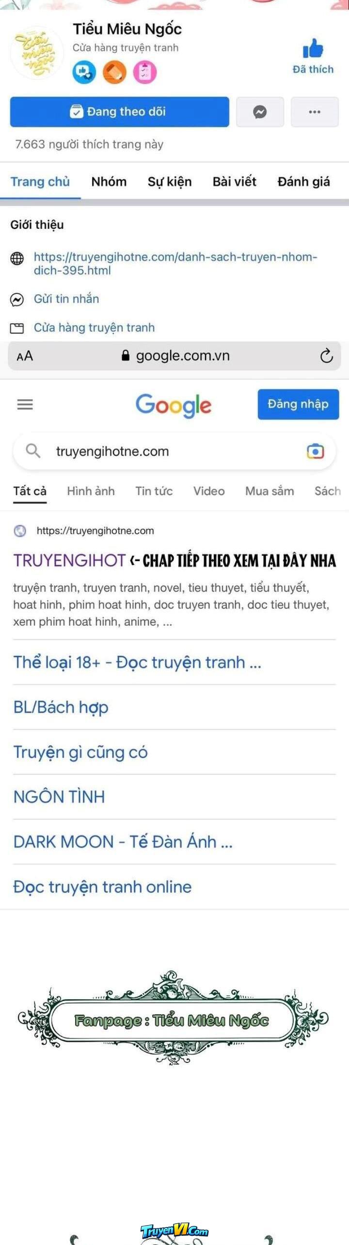 Truyện VI