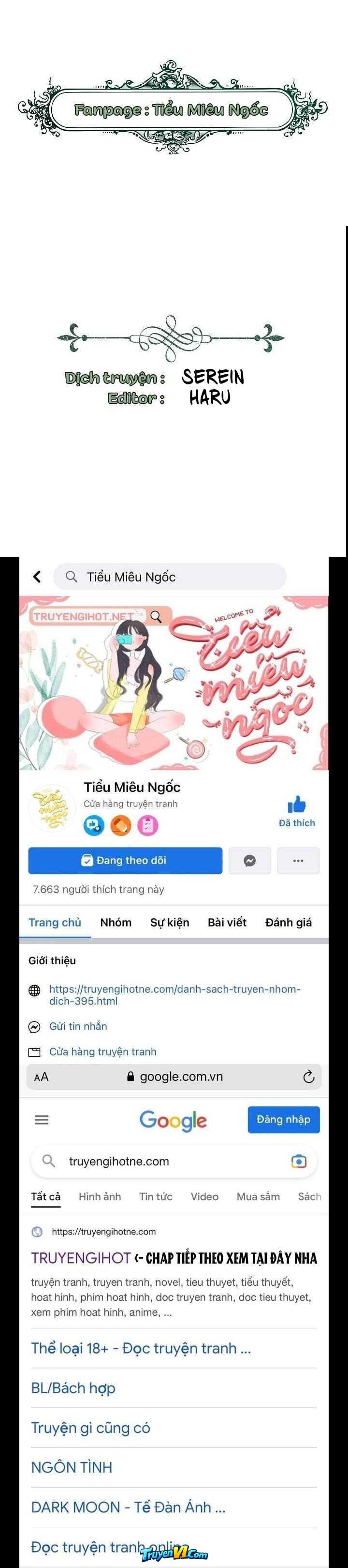 Truyện VI
