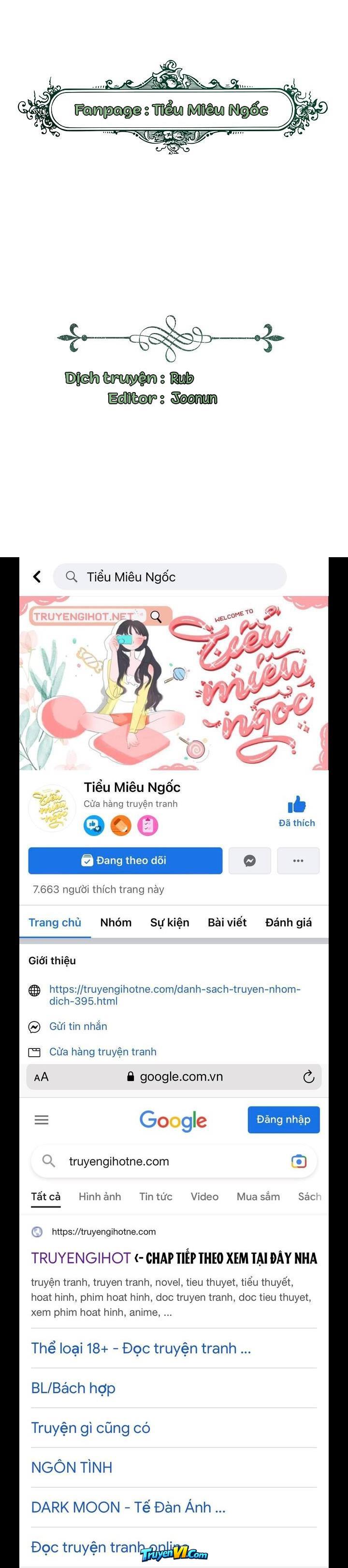 Truyện VI