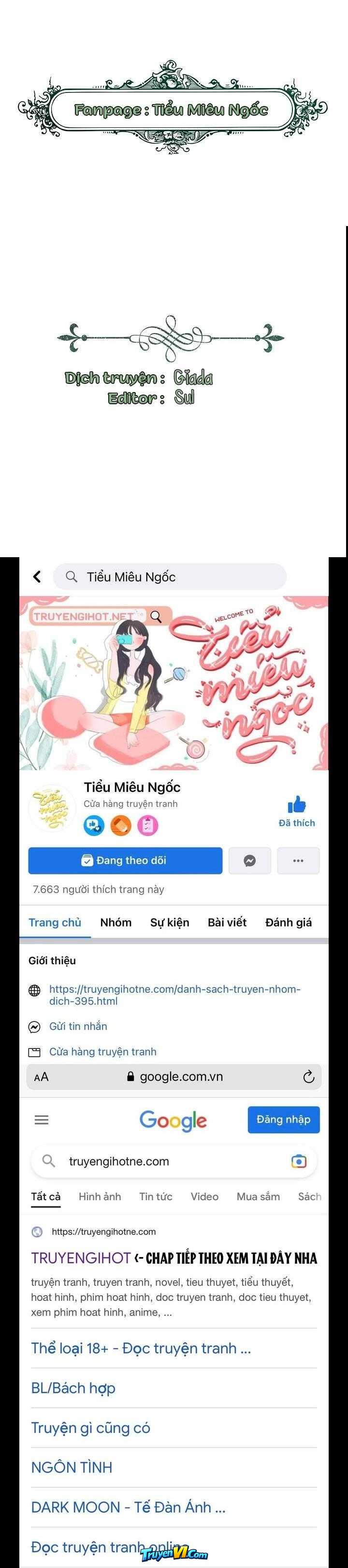 Truyện VI