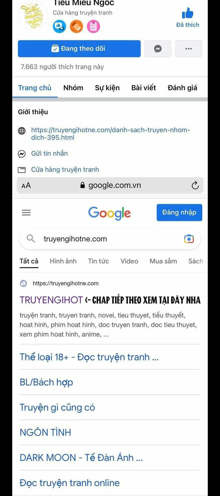 Truyện VI
