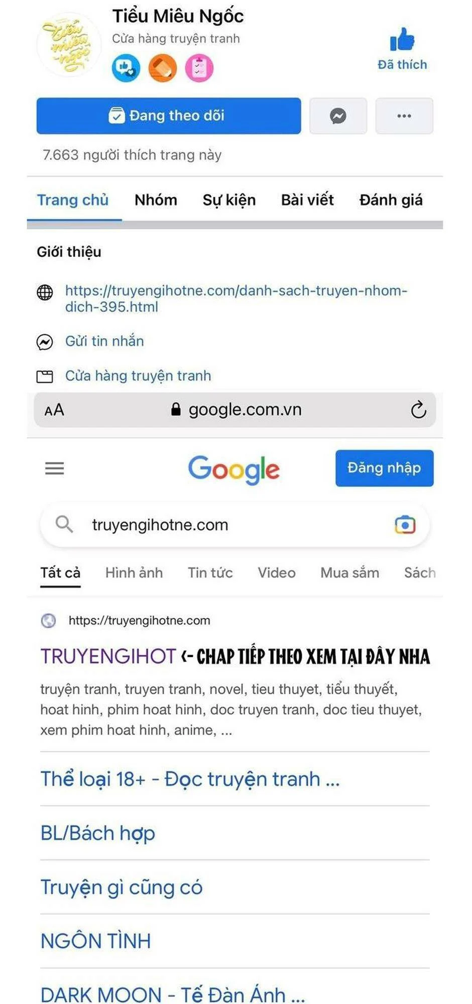 Truyện VI