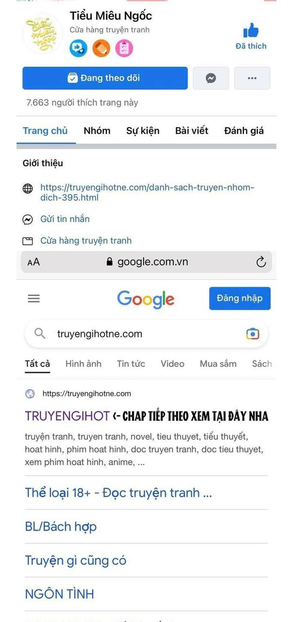 Truyện VI