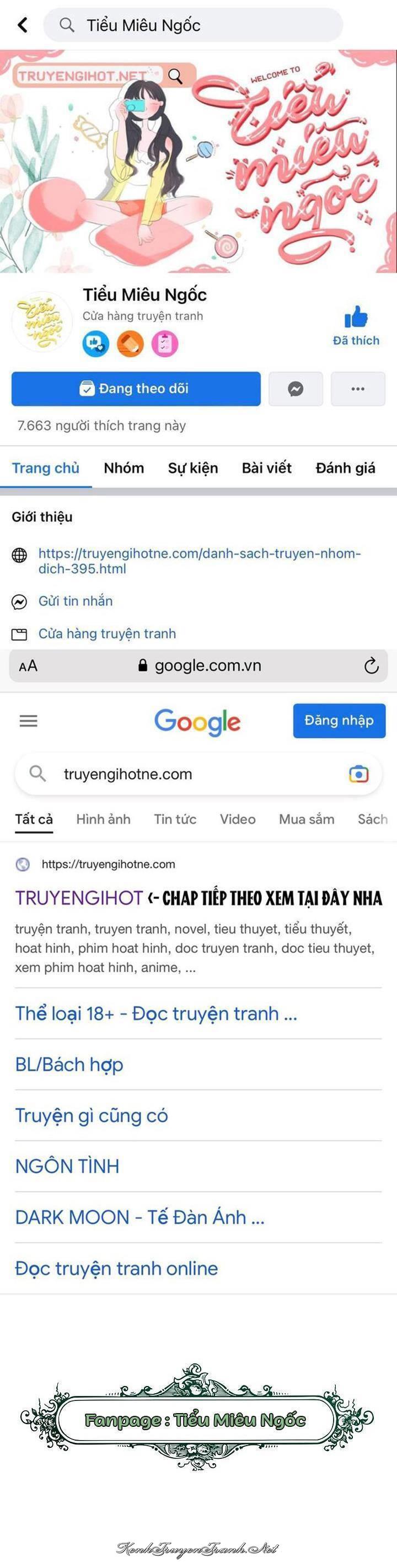 Truyện VI