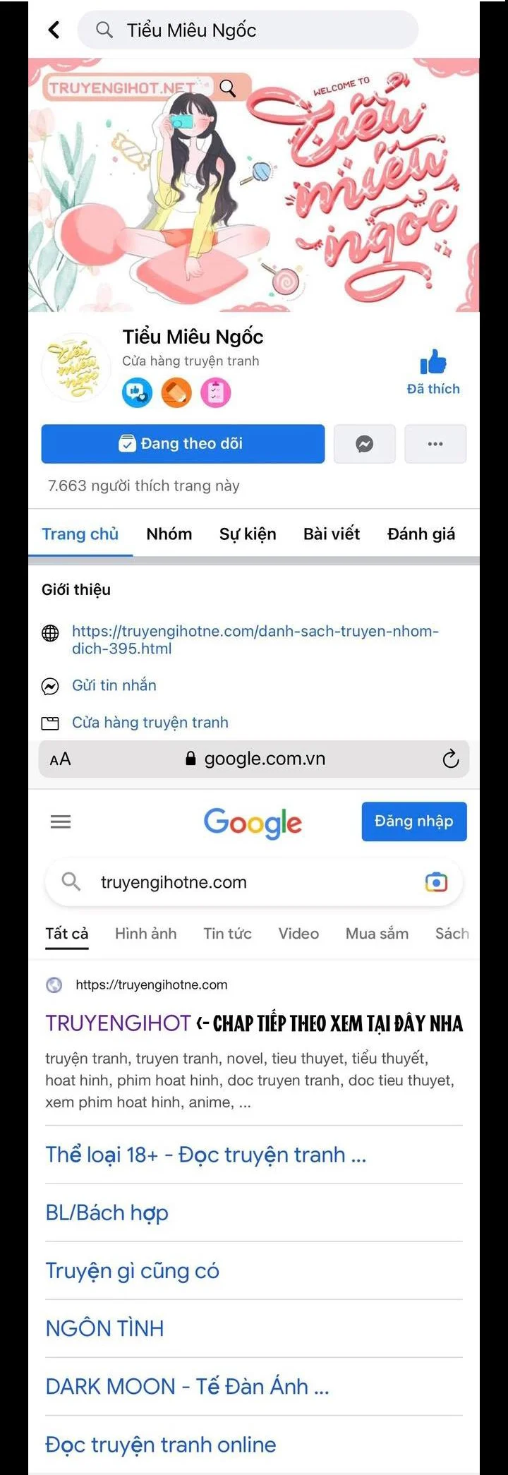 Truyện VI