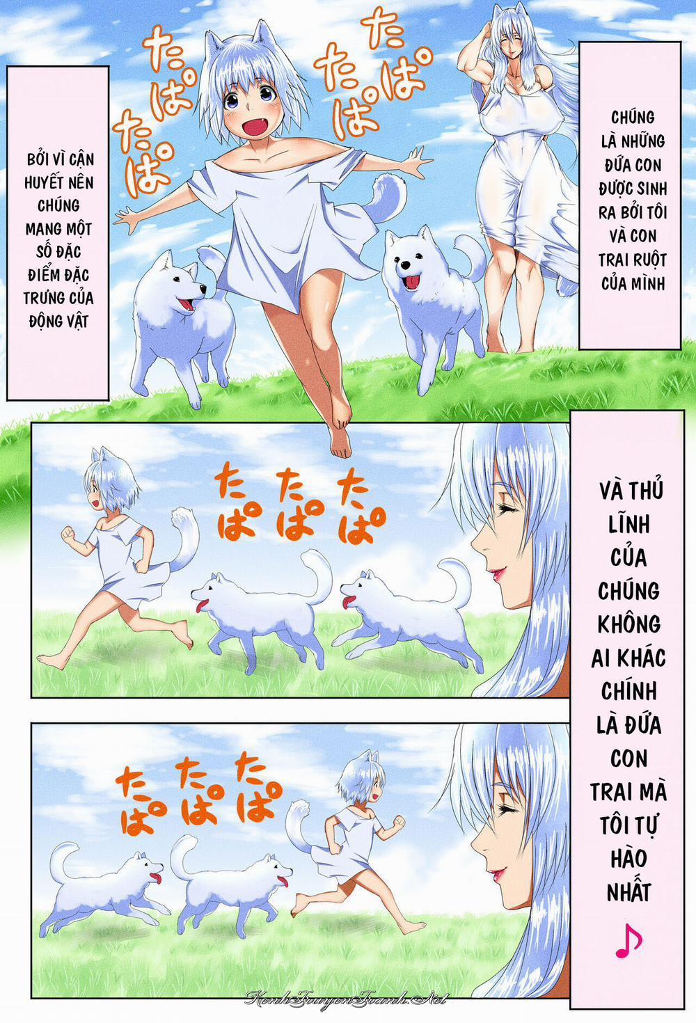 Truyện VI