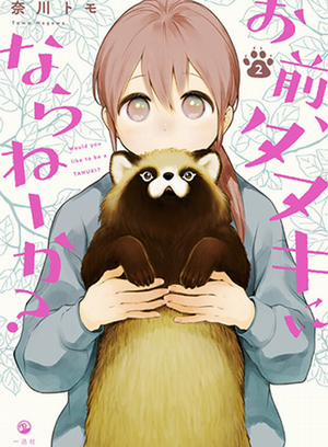 Omae, Tanuki Ni Naranee Ka?