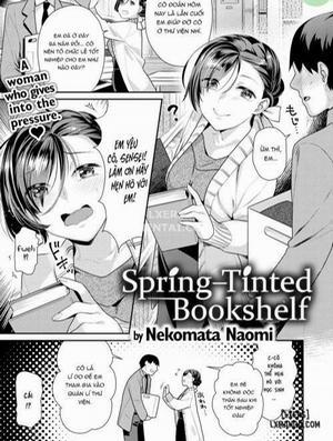 Spring-Tinted Bookshelf