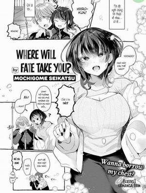 Where Will Fate Take You