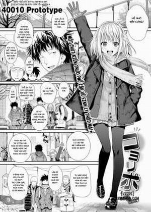 Koyori Report