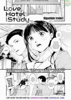 Love Hotel Study