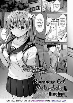 Runaway Cat Melancholic