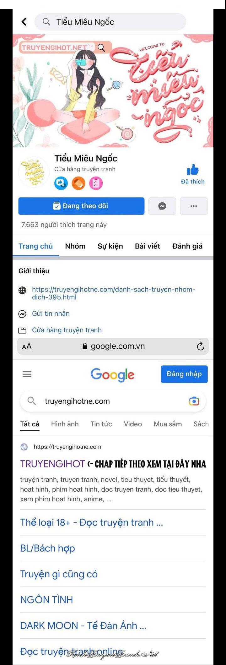 Truyện VI