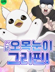 Chào Nhé, Chú Vẹt Mắt Tròn Griffin!