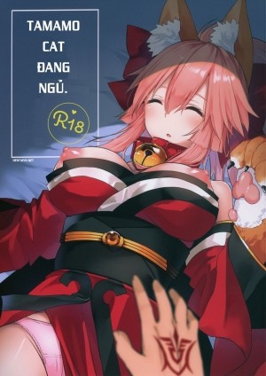 Tamamo Cat Đang Ngủ