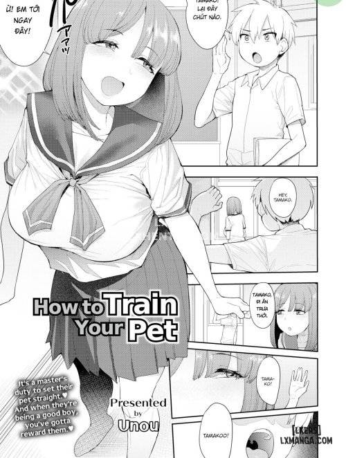 How To Train Your Pet