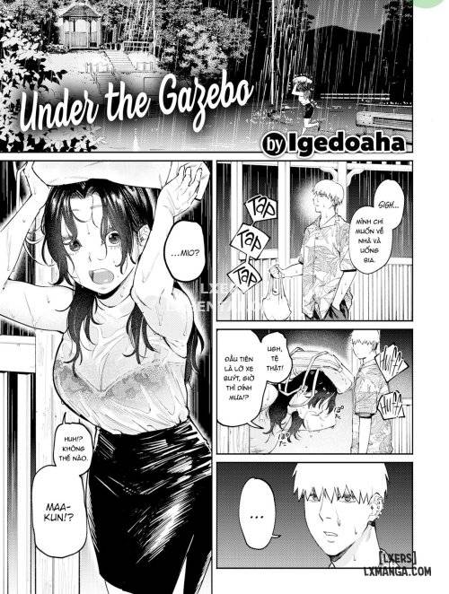Under The Gazebo