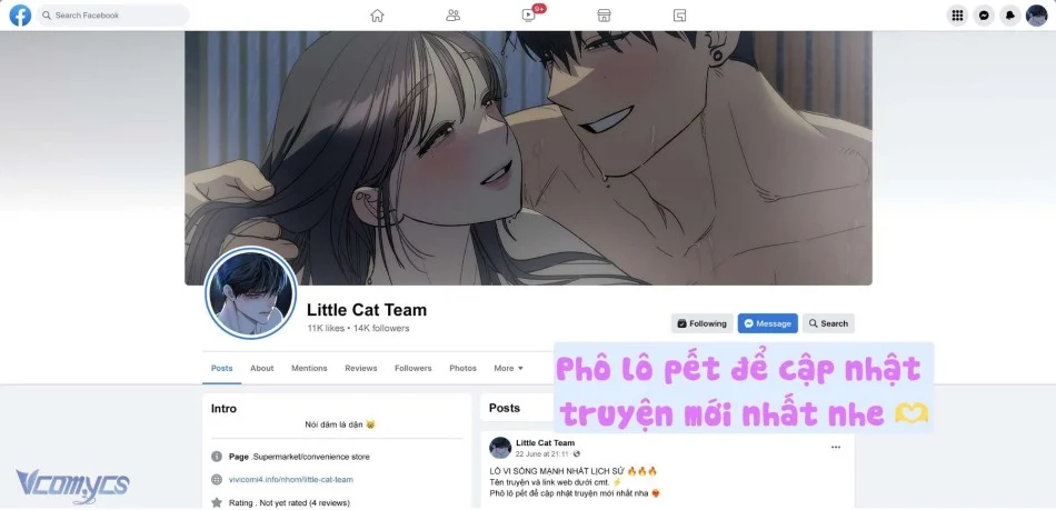 Truyện VI