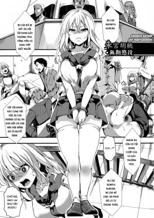 Shumiya Kurumi Muki Choueki