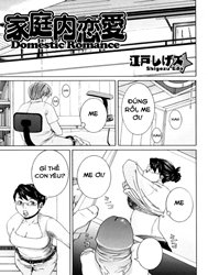 Domestic Romance