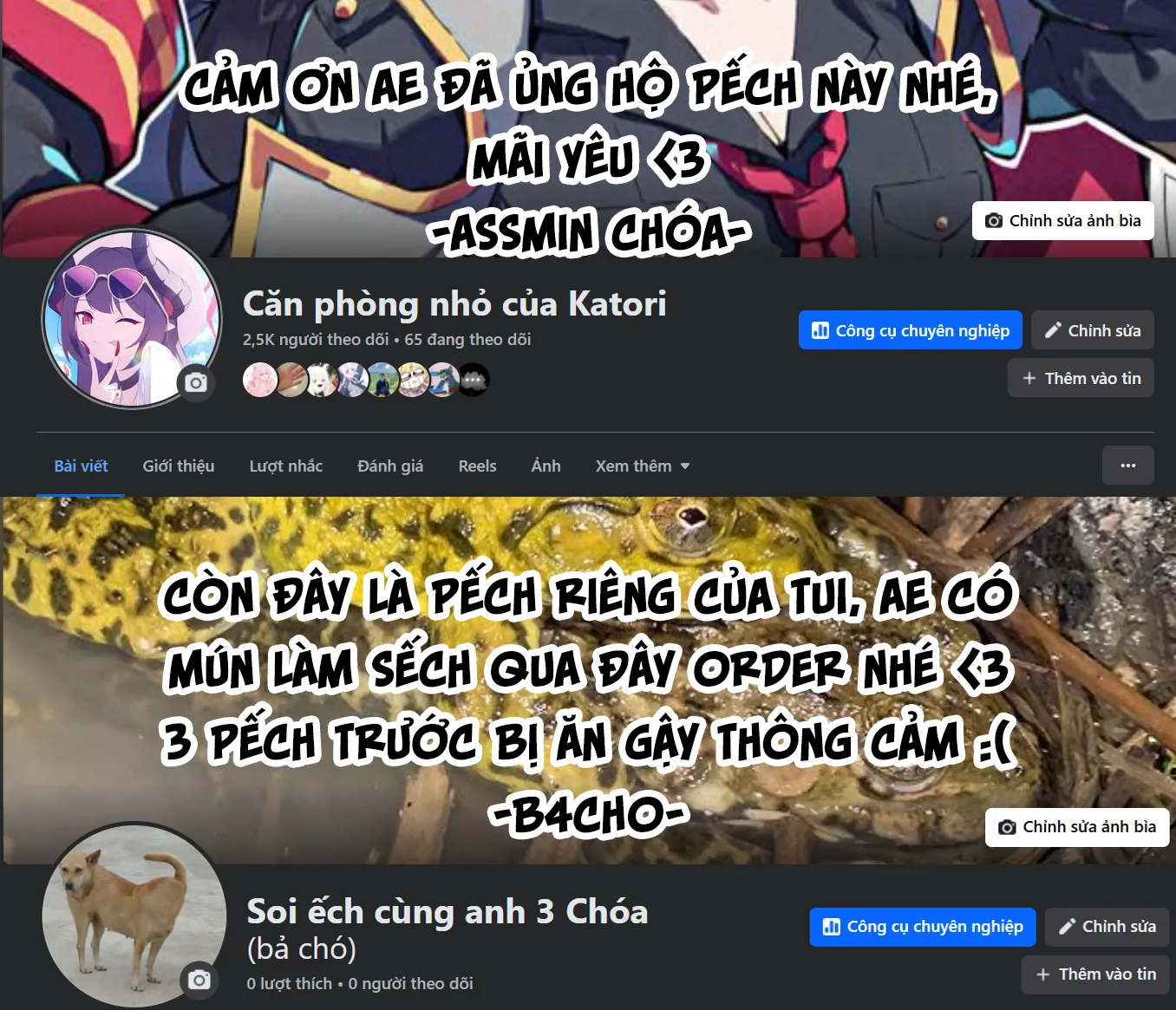 Truyện VI