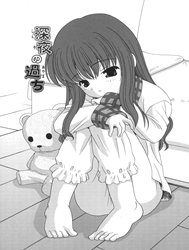 Shinya No Ayamachi